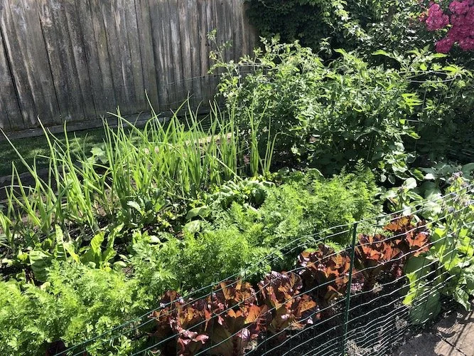 Stock Photo Spring Garden.jpg