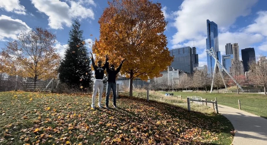 Stock Photo Chicago Park.jpg