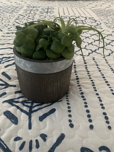 Stock Photo Succulent Textiles.jpg