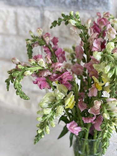 Stock Photo Spring Flower Bouquet.jpeg