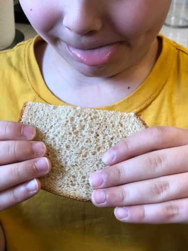 Stock Photo PBJ 1.jpg