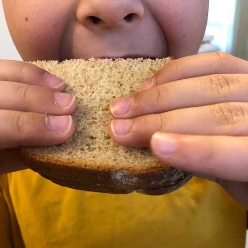 Stock Photo PBJ.jpg