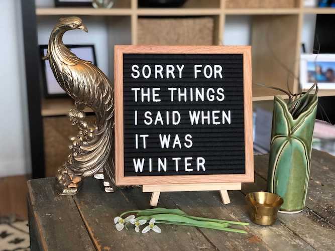 Stock Photo Spring Quote.jpg
