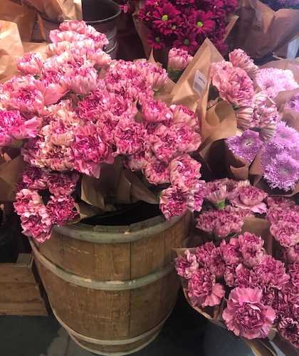 Stock Photo Pink Flower Barrel.jpg