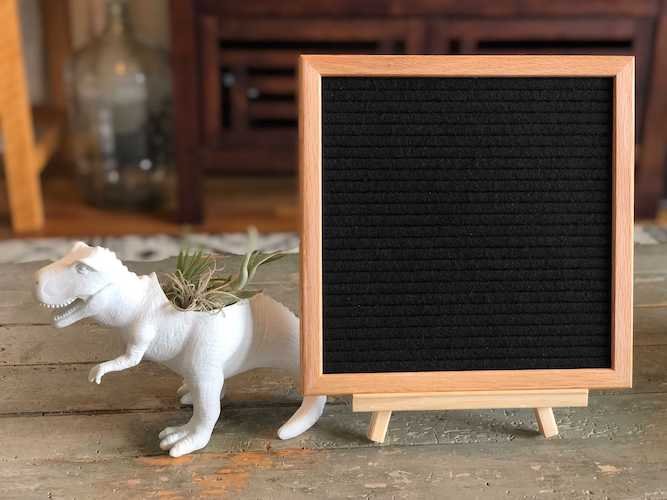 Stock Photo Dinosaur Letterboard Blank.jpg