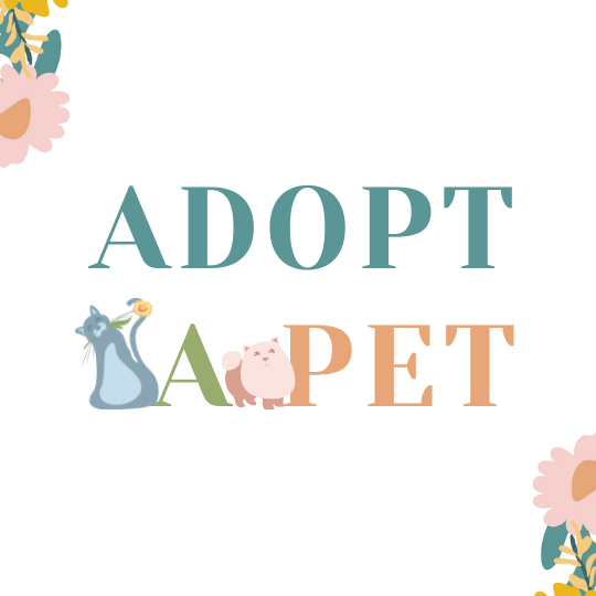 CAIG1201 Pet Adopt A Pet.png