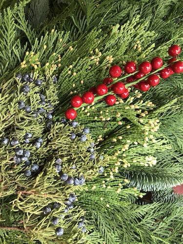 Stock Photo December winter fir bough 2.jpg