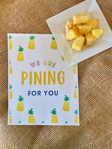 Stock Photo Tropics Fruit Pineapple Appreciation Real Life Mock.jpeg