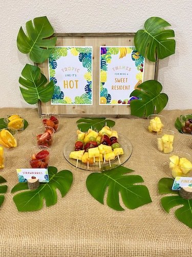 Stock Photo Tropics Fruit Spread 2 Real Life Mock.jpeg