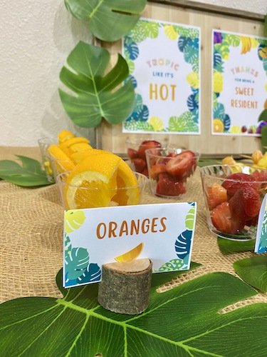 Stock Photo Tropics Fruit Spread 3 Real Life Mock.jpeg