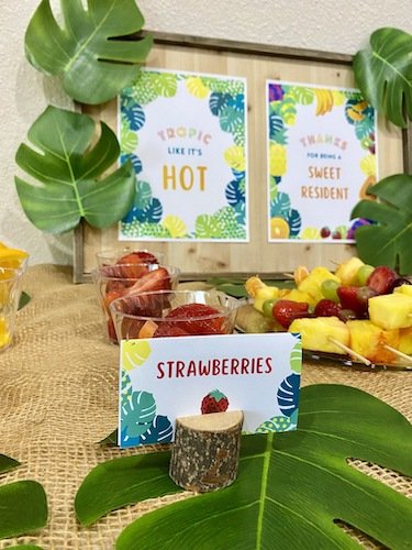 Stock Photo Tropics Fruit Spread 4 Real Life Mock.jpeg