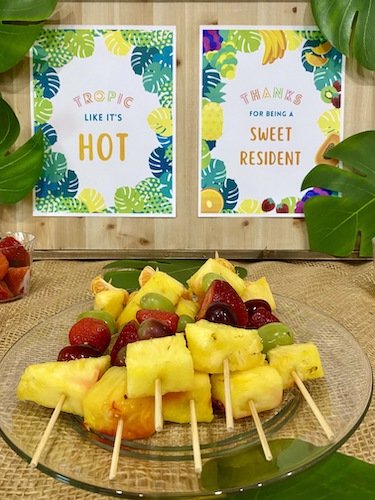 Stock Photo Tropics Fruit Spread 5 Real Life Mock.jpeg
