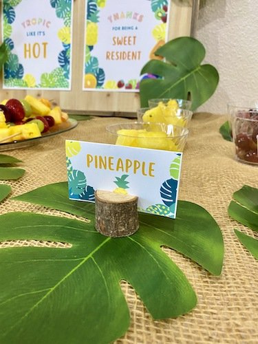 Stock Photo Tropics Fruit Spread 6 Real Life Mock.jpeg