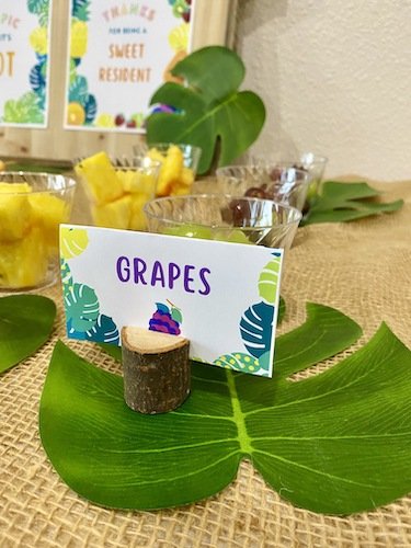 Stock Photo Tropics Fruit Spread 7 Real Life Mock.jpeg