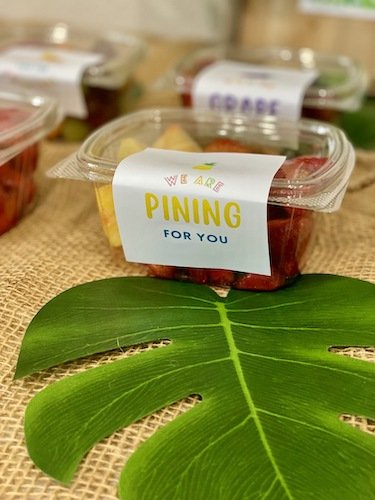 Stock Photo Tropics Fruit Spread Appreciation 2 Real Life Mock.jpeg