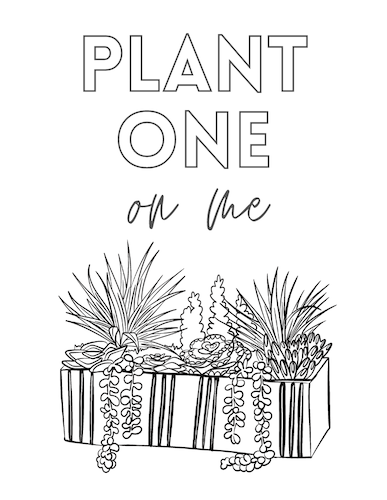 CA1490 Succulent Plant One On Me Coloring.png