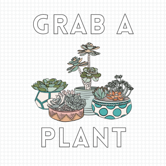 CAIG1227 Succulent Grab A Plant.png
