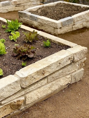 Stock Photo Gardening Beds.jpeg