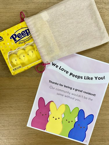 Stock Photo Peeps Appreciation 1 Real Life Mock.jpeg