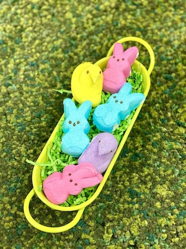 Stock Photo Spring Peeps.jpeg