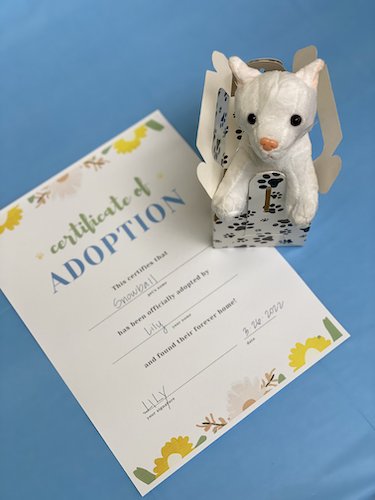 Stock Photo Pet Party Adopt 2 Real Life Mock.jpeg