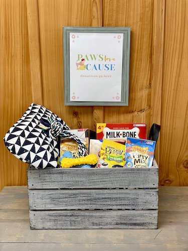 Stock Photo Pet Party Donation Station Real Life Mock.jpeg