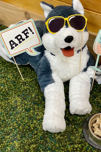 Stock Photo Pet Party Photo 2 Real Life Mock.jpeg
