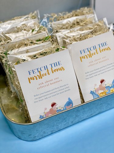 Stock Photo Pet Party Refer Real Life Mock.jpeg