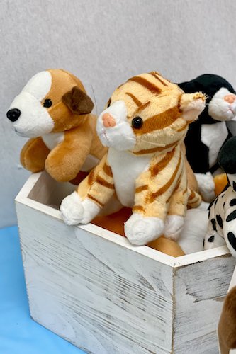 Stock Photo Pet Party Stuffed Animals.jpeg