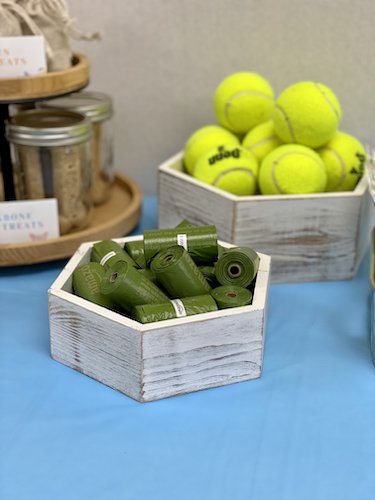 Stock Photo Pet Party Treats.jpeg