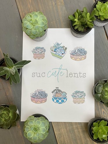 Stock Photo Sip Succulent 11 Real Life Mock.jpeg