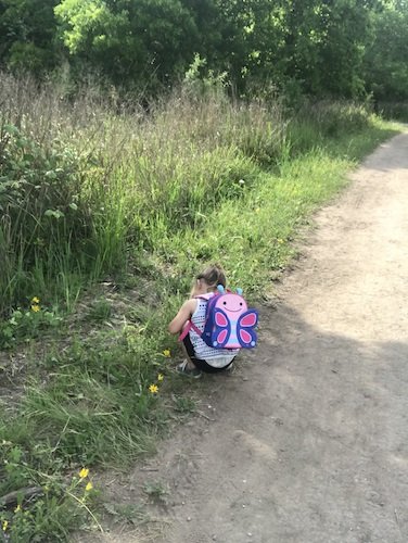 Stock Photo Butterfly Backpack.jpeg