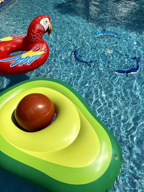 Avocado and Parot Pool Float.jpeg