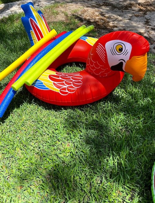 Parot Pool Float and Pool Noodles.jpeg