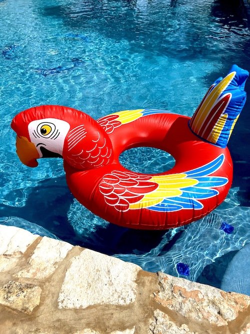 Parot Pool Float.jpeg