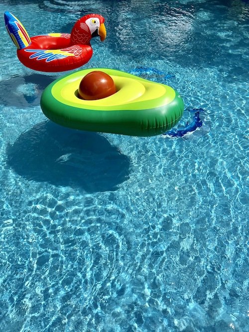 Avocado and Parot Pool Float 2.jpeg