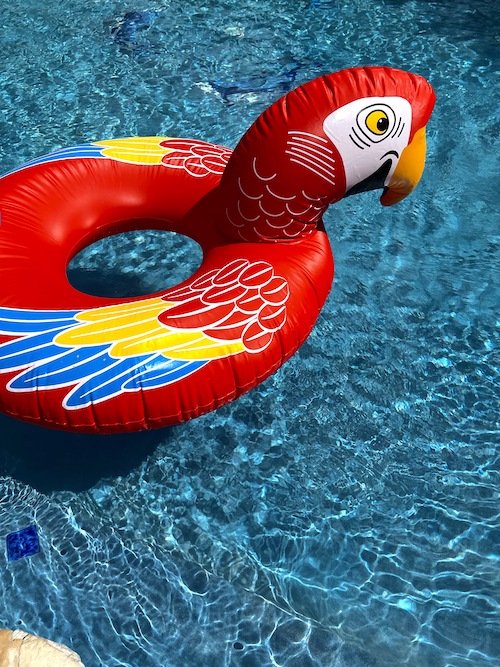 Parot Pool Float 2.jpeg