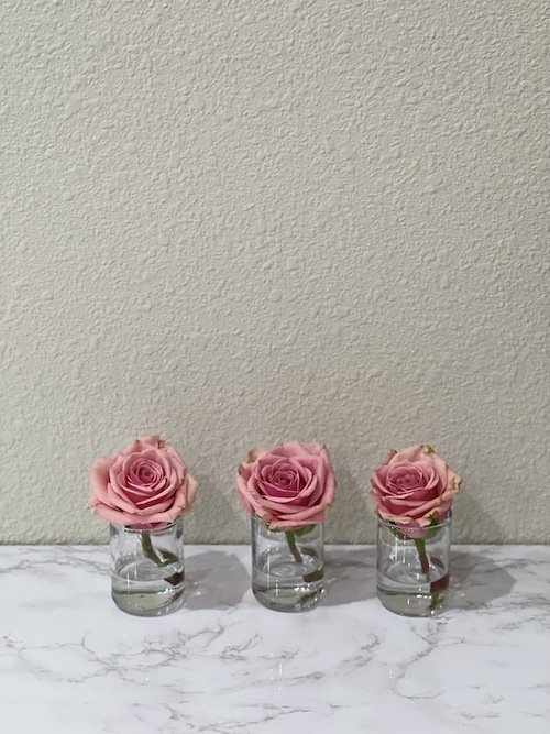 Mini Pink Roses.jpeg