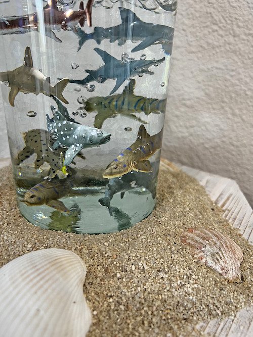 Toy Sharks And Sand.jpeg