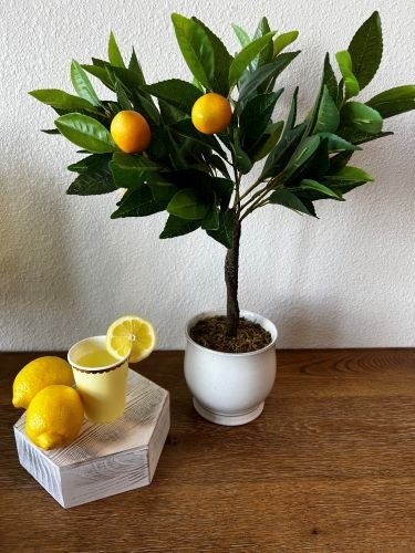Lemon Tree 2.jpeg