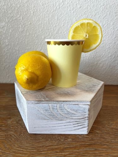 Lemonade 1.jpeg