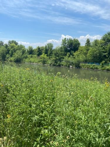 Stock Photo River Edge.jpg