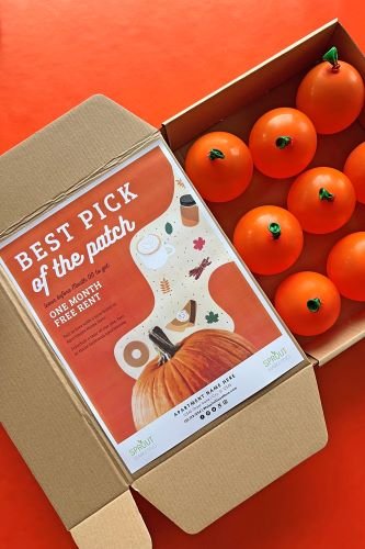 Stock Photo Fall Pick Follow Up.jpeg