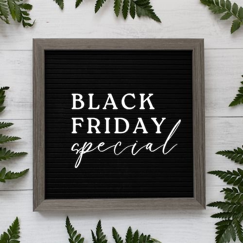 CAIG1568 Black Friday.jpg
