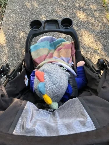 Stock Photo Baby Stroller.jpg
