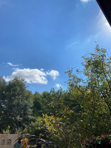 Stock Photo Blue Sky Trees.jpg