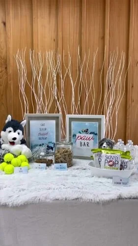 Stock Video Pet Paw Bar Thumbnail.jpg