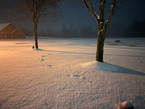 Stock Photo Fresh Snow Night.jpeg
