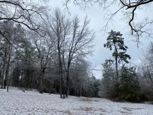 Stock Photo Snowy Woods.jpeg