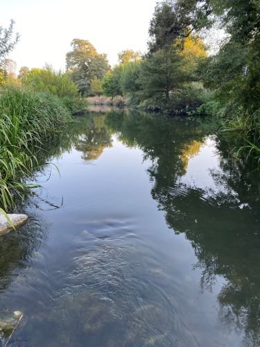 Stock Photo Calm River.jpeg